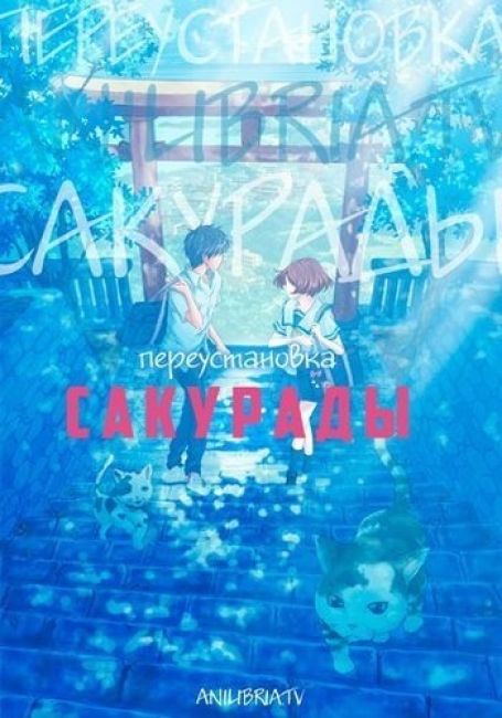 Переустановка Сакурады