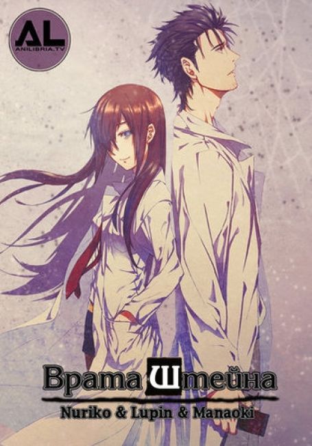 Врата Штейна: Зона загрузки дежавю