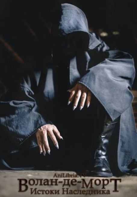 Волан-де-Морт: Истоки Наследника