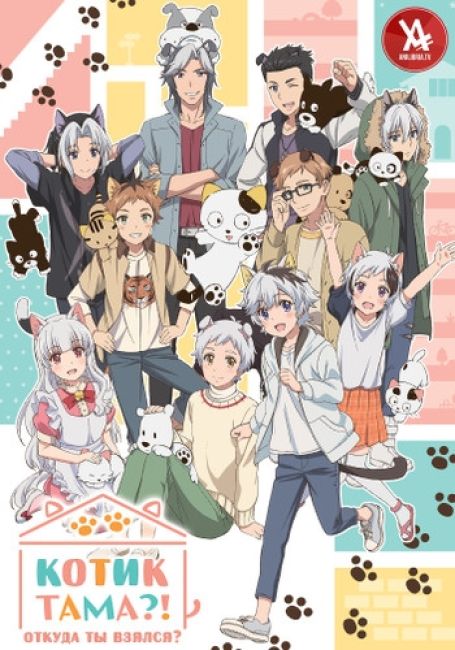 Котик Тама? Откуда ты взялся?