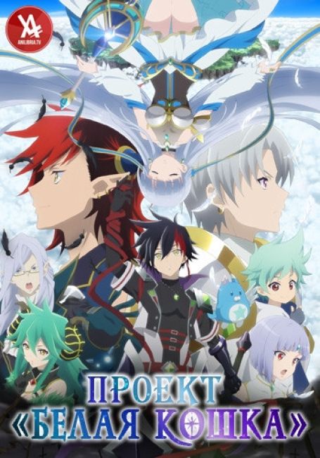 Проект «Белая Кошка»